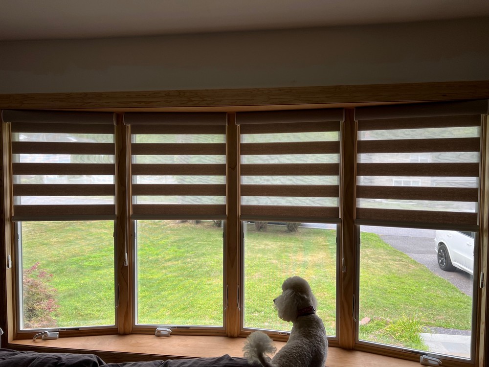 Graber layered zebra shades valley cottage ny